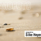 Bilder