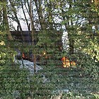 Feuerwehr Mayen