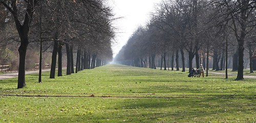 Dresden 13