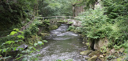 Dresden 12