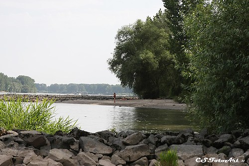IMG_0656 MK