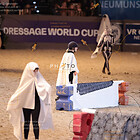 Ponyhof Johannsen - Geisterjagd