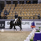 01) CDI1* - Prix St.Georg S+ Dressur Inter - Prüfung