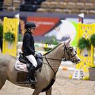 19) A++ Pony Stil Championat - Parcours
