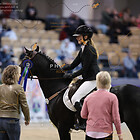 19) A++ Pony Stil Championat - Siegerehrung