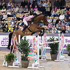 17) M++ Springprf Jun-JR Einlaufprüfung - Parcours