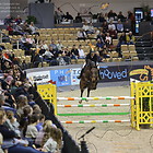 10) CSIYH1* - Int. Springprüfung 1.Quali