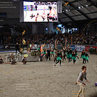 Schauwettbewerb der Reitvereine