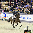 11) 2.Quali - Inter Springprf Youngster Cup