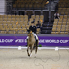 01) CDI1* - Prix St.Georg S+ Dressur Inter