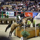 22) Indoor Eventing M+ ü.Naturhindernisse