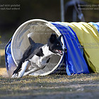 18-10-21/Sonntag Halloween Turnier beim CfH Büttgen-Vorst e.V.