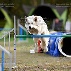 18-10-20/Samstag Halloween Turnier beim CfH Büttgen-Vorst e.V.