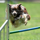 18-06-23/Samstag Sommerturnier beim CfH Büttgen-Vorst e.V.