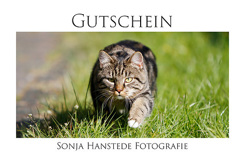 Gutschein Lilly grün