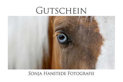 Gutschein Blue