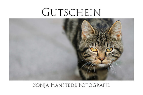 Gutschein Lilly grau