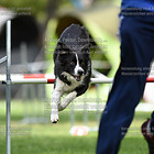 Samstag 03.08. Jumping 1+2 L