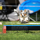 Samstag 03.08. Jumping 1+2 S