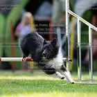 Sonntag 04.08. Jumping 1+2 S