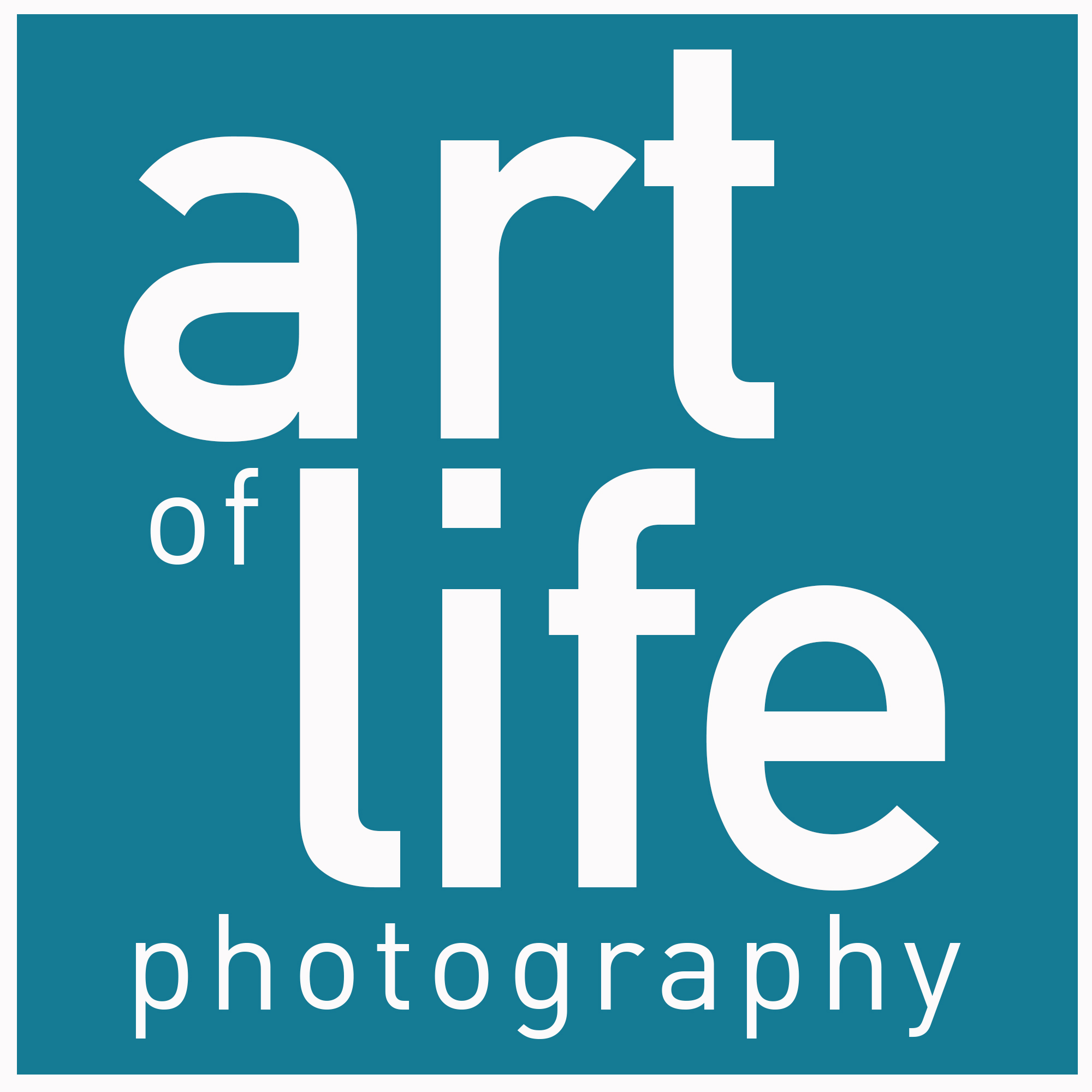 Art of Life Photography | Schools