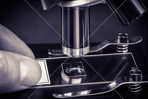 fingers holding an object slide under a microscope lens, with se