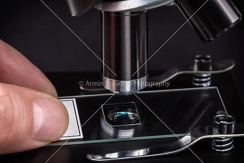 fingers holding an object slide under a microscope lens