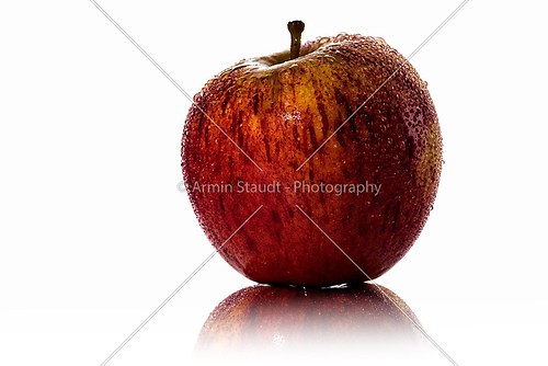 red fresh apple with water drops in backlight, isolated on white