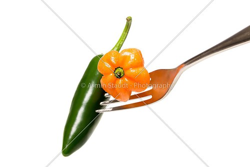 orange and green hot chili on a fork, isolated on white
