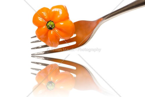 orange hot chili on a fork with reflection, isolated on white