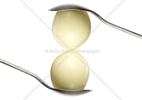 two onions between two spoons, isolated on white