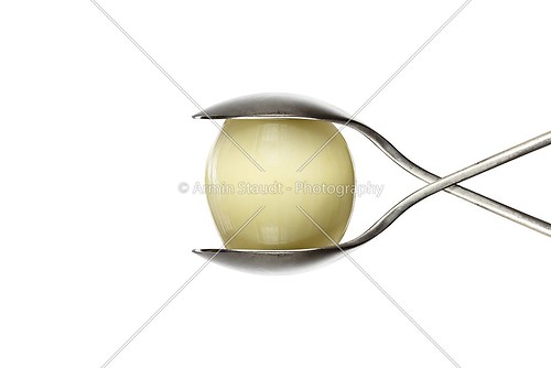 peeled onion between two spoons, isolated on white
