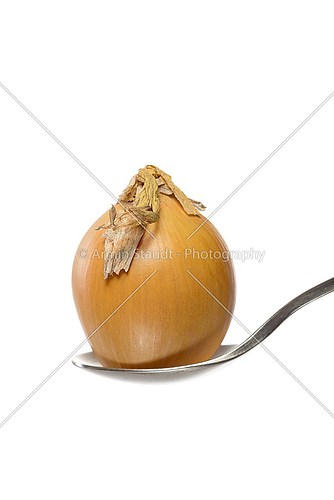 close up of an unpeeled onion on a spoon, isolated on white