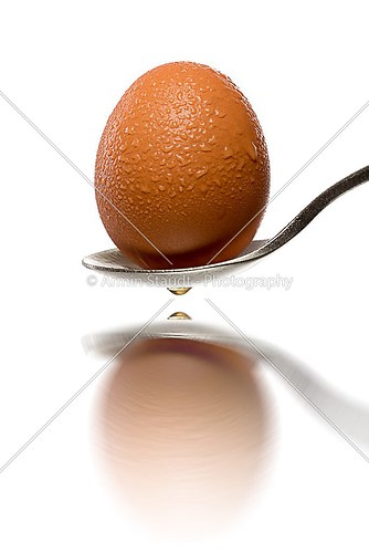 fresh brown egg with water drops  on a spoon , isolated on white