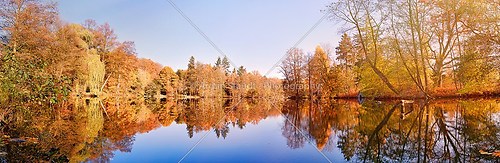 panorama of autumn trees at a glassy lake