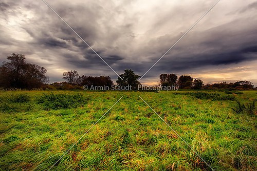 landscape with wild meadow and dramatic sky