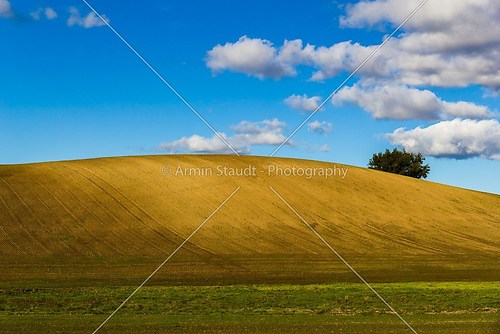 Plowed field on a clear hill with tree