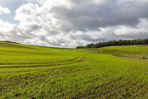 green field with vibrant lines an dramatic sky