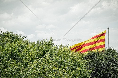 spanish flag behind some trees in summer