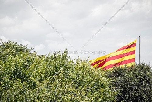 spanish flag behind some trees