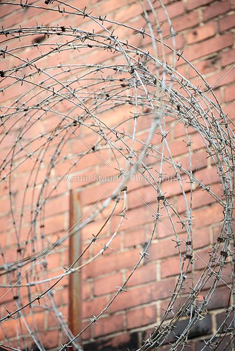barb wire with red brick wall in background