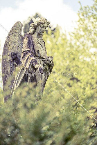 angel sculpture between blurred spring foliage