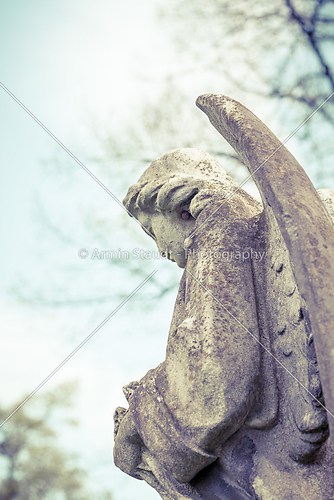 detail of an angel sculpture