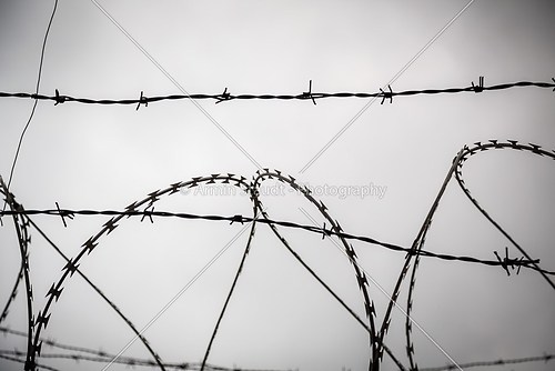barb wire shoot against a gray sad sky