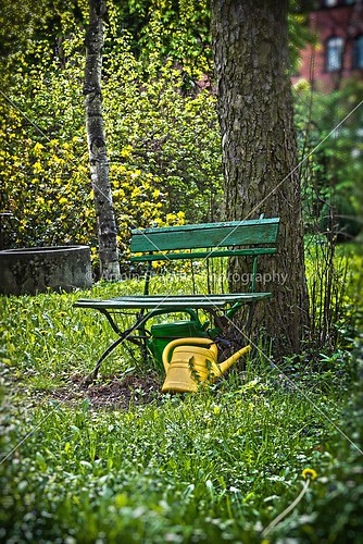 garden bench with yellow ewer