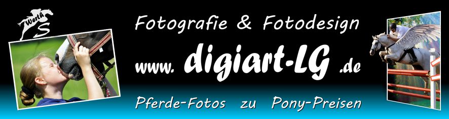 Onlineshop  digiart-LG