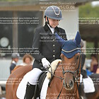 Gruppe 1 Reiter WB Schritt-Trab-Galopp