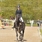 Siegerehrung 06. Amateur-Stilspringprüfung Kl.A