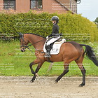 Reiter WB Schritt-Trab-Galopp Gruppe 2