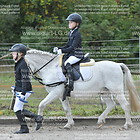 Führzügelwettbewerb und Siegerehrung Prfg. 1 Führzügel